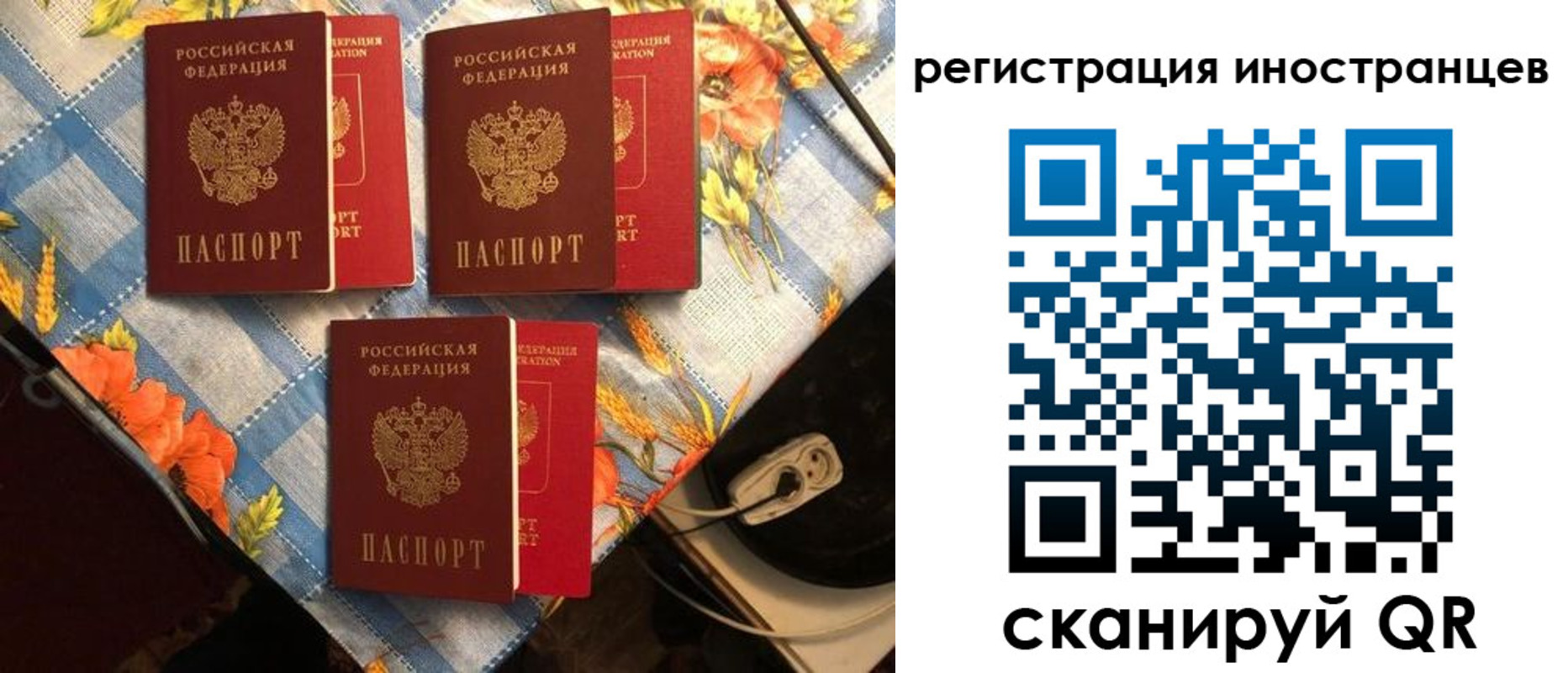 прописка поиск в Шадринске